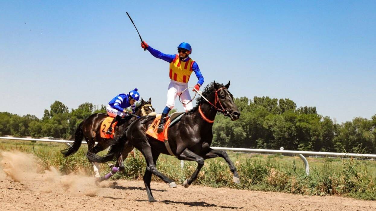 Mastering Fantasy Equestrian Sports with Magusrealm