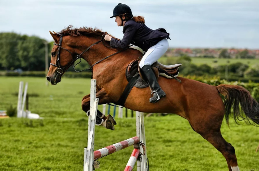 Rise to Glory in Fantasy Equestrian Tournaments