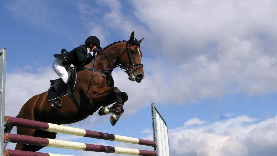 Rise to Glory in Fantasy Equestrian Tournaments